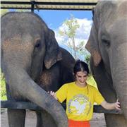 24 years old Italian lady with high English fluency and CELTA survivor