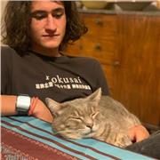 Ragazzo di 17 anni aiuto studio e conpiti fisica