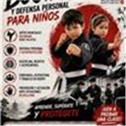 Profesor federado da clases de defensa personal y artes marciales