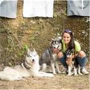 Cours de soutien en français du niveau CP au niveau terminale