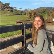 Particular de inglés para niños, con el titulo C1 Advanced (CAE), presencial u online