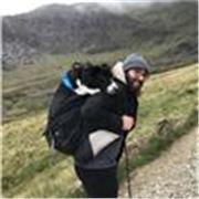 Unlock Your Math Potential: Expert Tutoring for Secondary and College Students






