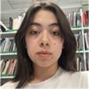 Imparto clases particulares de Lengua o alguna materia ambientada a las Humanidades