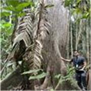 Ingeniero sanitario y ambiental especializado en recursos naturales 