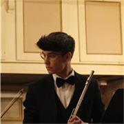 Diploma di maturità al Liceo Musicale,Musicista,Insegnante