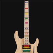 Musicien amateur propose cours de guitare électrique, tous styles pour débutants/ progession, tout le matériel est a disposition