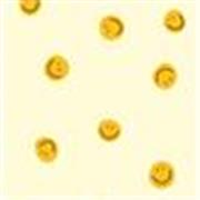 Graduada en Educación Primaria (Curricular y Educación Especial), Máster en Dificultades del Lenguaje y actual doctoranda.