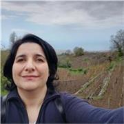 Lezioni personalizzate per tutti i livelli, online o presso il mio domicilio in zona Catania nord
