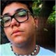 Ragazzo da ripetizioni in italiano, letteratura, storia dell' arte , matematica (medie)