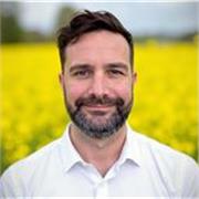 Mathematik Nachhilfe online für Schüler der Unter- und Mittelstufe