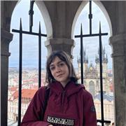 Professeure d’anglais/ français et histoire à distance en ligne