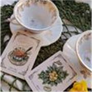 Lezioni di Cartomanzia Arcani Maggiori e Minori e Sibilla Lenormand