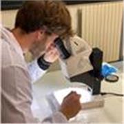 Insegnante di Biologia e Scienze (Online e presenza)