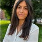 Ingegnere biomedico con dottorato di ricerca impartisce ripetizioni di matematica per scuole elementari, medie e superiori