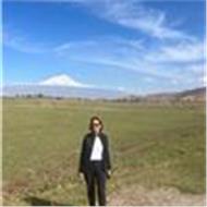 Seden