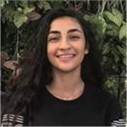 I can teach Arabic and French to all ages. Math, Physics, and computer science until grade 10.