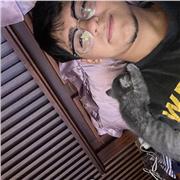 Apoyo en matemáticas básicas, de Básica hasta media