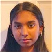 Native English online tutor for Year 6 students to provide English skills in order to progress to the next stages of education.  