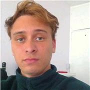 Doy clases de Historia, para chicos de bachiller e universidad