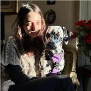 compiti elementari e medie, conversazione inglese