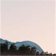 Coach Educativo, Profe de Español: Clases Online