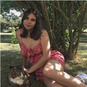 Cours français de tout niveau