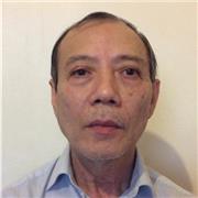 Supporting young pupils in learning mathematics online