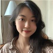 Maths tutor for GCSE or below