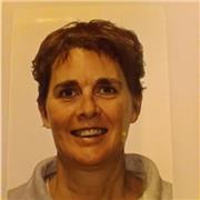 Doy clases de alemán particulares en línea