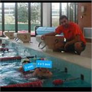 Istruttore/allenatore - corsi individuali - solo avviamento al nuoto 4-10 anni ideale pre-iscrizione piscina. Garantito livello UP