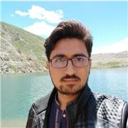 Computing Tutor and a professional software Engineer