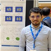 Maestro de Matemáticas y Física a todos los niveles. Experiencia como docente a Nivel Superior