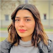 I can teach undergraduate, high school, and adult learners.
Personalized lessons meeting the individual need.