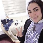 Inglés, matemáticas, lenguaje