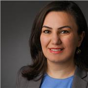 Erfahrener Englisch Nachhilfelehrer für Studenten