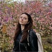 Ripetizioni online di matematica fisica e chimica