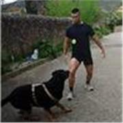 Préparation physique, perte de graisse, prise de muscle 