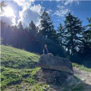 Laureando in medicina offre ripetizioni di matematica, chimica, scienze, fisica e materie umanistiche