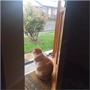 Profesora Español básico - Sur de Chile - Camila