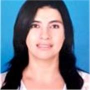 Profesional en Lenguas Extranjeras
