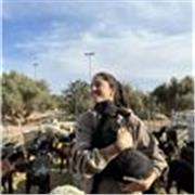 CLASES PARTICULARES A ALUMNOS DE 1 DE VETERINARIA