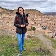 Insegnante di francese, madrelingua francese, esperienza nell'insegnamento dell'inglese/francese ai rifugiati (un anno) e ai bambini (aiuto compiti). Ho un master in letteratura francese. Posso dare lezioni online al momento, e potrei in seguito dare lezi