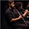 Laureato in clarinetto presso gli istituti superiori di studi musicali di palermo e milano, impartisco lezioni di clarinetto