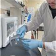 Clase de MATEMÁTICAS PRE-UNIVERSITARIO y UNIVERSITARIO INGRESANTE