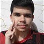 Professor de português com bom domínio do idioma