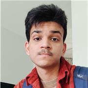 A private tutor tailoring lessons according to your needs.