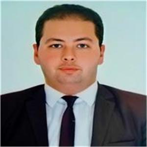 Sherif Gabr Helmi Gabr