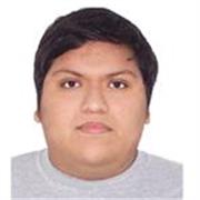 Profesor/a de Matemáticas en Perú - Trabajo Remoto y Flexible