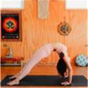 Dicto clases de vinyasa yoga para adultos