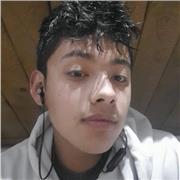 Profesor de apoyo en primaria y bachiller